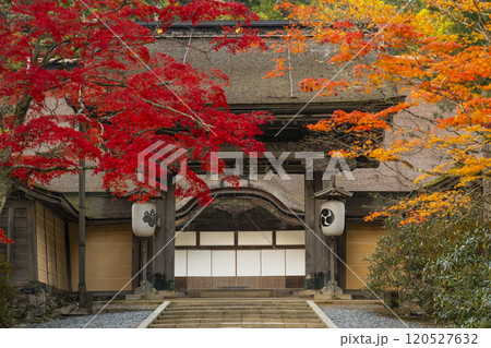 高野山金剛峯寺　紅葉に包まれた正門　 120527632