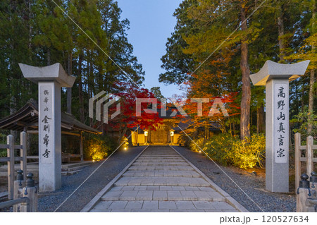 高野山金剛峯寺　正門　紅葉ライトアップ 120527634