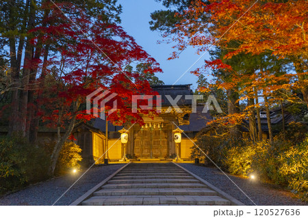 高野山金剛峯寺　正門　紅葉ライトアップ 120527636