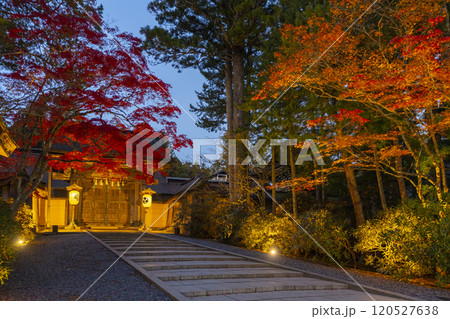 高野山金剛峯寺 正門 紅葉ライトアップ 高野山金剛峯寺 正門 紅葉ライトアップ 120527638