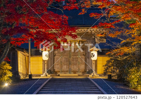 高野山金剛峯寺 正門 紅葉ライトアップ 高野山金剛峯寺 正門 紅葉ライトアップ 120527643