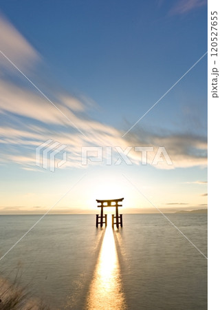 朝日を浴びる白鬚神社の湖中大鳥居 朝日を浴びる白鬚神社の湖中大鳥居 120527655