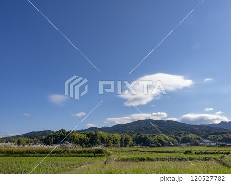 冬の田舎の青い空 冬の田舎の青い空 120527782
