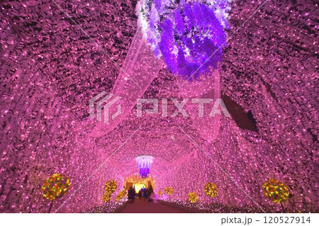 カラフルなイルミネーション 120527914