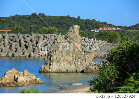 沖縄　本部町の人気スポット　ゴリラチョップ 120527924