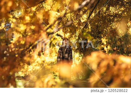 紅葉狩りを楽しむ若い女性 120528022