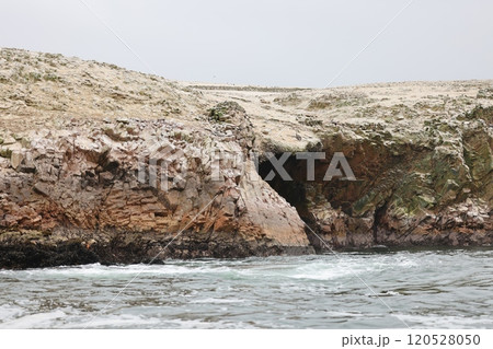 【ペルー】バジェスタス島 【ペルー】バジェスタス島 120528050