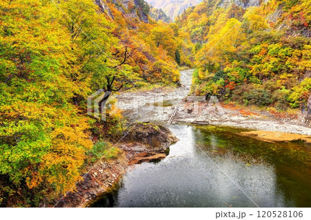 秋の奥只見湖雨池橋周辺の紅葉 120528106