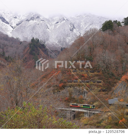 紅葉と雪景色の只見線 120528706