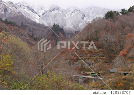 紅葉と雪景色の只見線 紅葉と雪景色の只見線 120528707