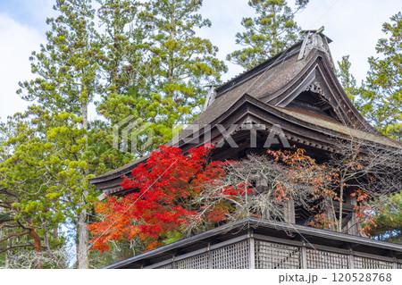 高野山金剛峯寺 紅葉に包まれた六時の鐘 高野山金剛峯寺 紅葉に包まれた六時の鐘 120528768