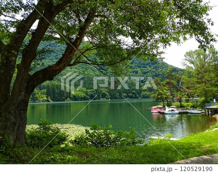 山奥にある初夏の湖 120529190