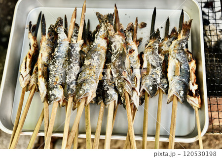 こんがり焼けた串焼きの魚をバットにのせる こんがり焼けた串焼きの魚をバットにのせる 120530198