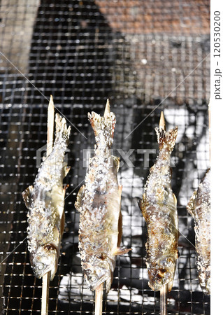 炭火で魚を塩焼きにする 120530200