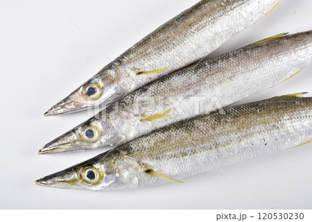 新鮮な魚 120530230