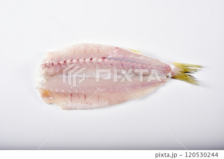 魚の腹開き 魚の腹開き 120530244