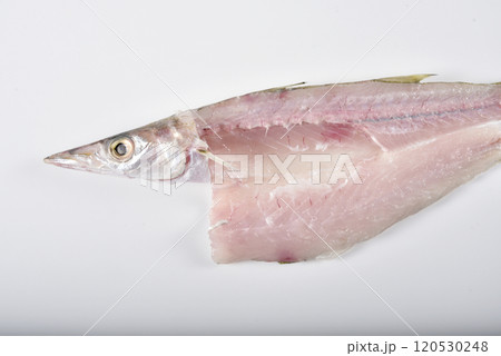 魚の片袖開き 魚の片袖開き 120530248