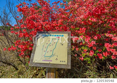 春の群馬県榛名山（相馬山）の麓のスルス峠付近のゆうすげの道案内図 120530548