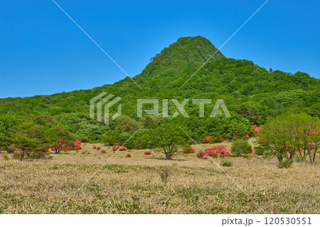 春の群馬県榛名山(相馬山)の麓(県道33号)から相馬山とツツジを見る 春の群馬県榛名山(相馬山)の麓(県道33号)から相馬山とツツジを見る 120530551
