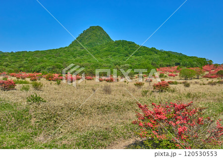 春の群馬県榛名山(相馬山)の麓(県道33号)から相馬山とツツジを見る 春の群馬県榛名山(相馬山)の麓(県道33号)から相馬山とツツジを見る 120530553