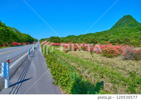 春の群馬県榛名山（相馬山）の麓(県道33号)から相馬山を見る 120530577