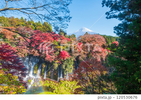 白糸の滝と富士山（秋） 120530676