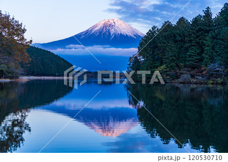 （静岡県）田貫湖富岳テラスから望む冠雪した富士山　夕景 120530710