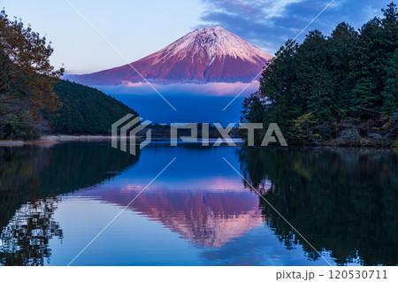 (静岡県)田貫湖富岳テラスから望む冠雪した富士山 夕景 (静岡県)田貫湖富岳テラスから望む冠雪した富士山 夕景 120530711