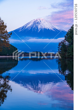 （静岡県）田貫湖富岳テラスから望む冠雪した富士山　夕景 120530716