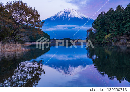 (静岡県)田貫湖富岳テラスから望む冠雪した富士山 夕景 (静岡県)田貫湖富岳テラスから望む冠雪した富士山 夕景 120530718