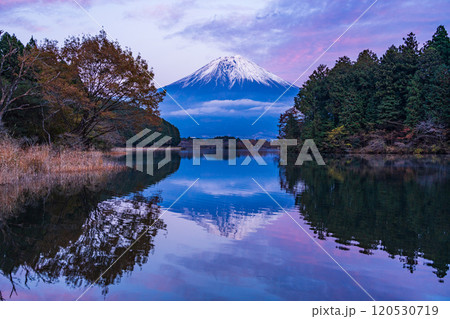（静岡県）田貫湖富岳テラスから望む冠雪した富士山　夕景 120530719