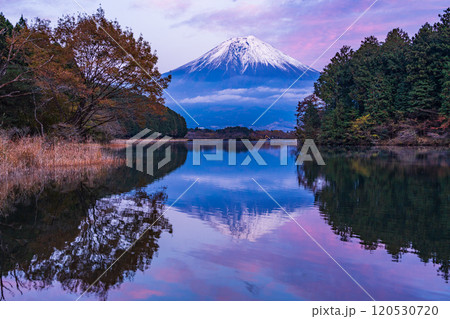 (静岡県)田貫湖富岳テラスから望む冠雪した富士山 夕景 (静岡県)田貫湖富岳テラスから望む冠雪した富士山 夕景 120530720