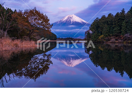 （静岡県）田貫湖富岳テラスから望む冠雪した富士山　夕景 120530724