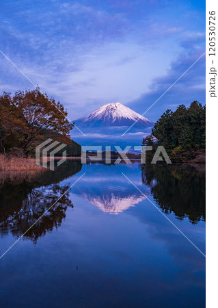 （静岡県）田貫湖富岳テラスから望む冠雪した富士山　夕景 120530726