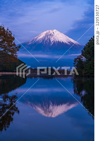 （静岡県）田貫湖富岳テラスから望む冠雪した富士山　夕景 120530727