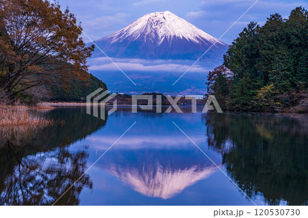 (静岡県)田貫湖富岳テラスから望む冠雪した富士山 夕景 (静岡県)田貫湖富岳テラスから望む冠雪した富士山 夕景 120530730