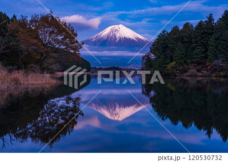 （静岡県）田貫湖富岳テラスから望む冠雪した富士山　夕景 120530732