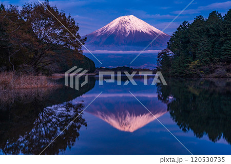 （静岡県）田貫湖富岳テラスから望む冠雪した富士山　夕景 120530735