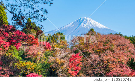 紅葉と富士山 紅葉と富士山 120530748