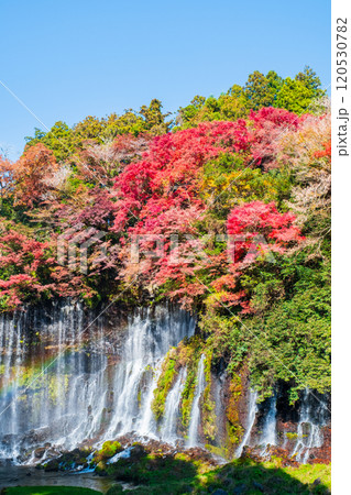 白糸の滝（秋）　[富士宮市] 120530782