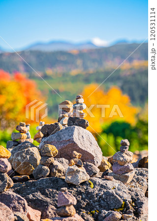 北海道　美瑛　十勝岳望岳台の秋 120531114