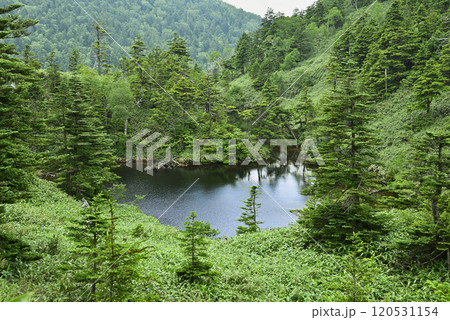 志賀高原　黒姫池 120531154