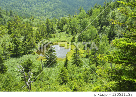 志賀高原　鬼の相撲場の池 120531158