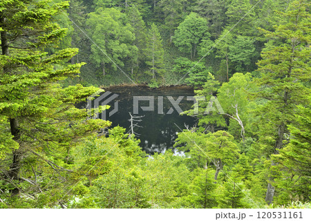 志賀高原 お釜池 志賀高原 お釜池 120531161