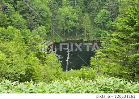 志賀高原　お釜池 120531162