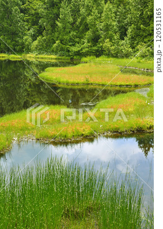 志賀高原　渋池 120531165