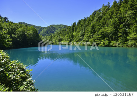 志賀高原　大沼池 120531167