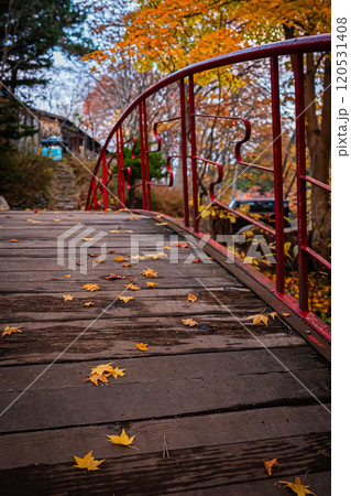 北海道　秋の札幌 120531408