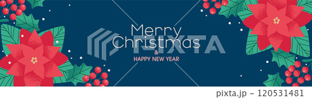 ポインセチアと木の実のクリスマス背景デザイン ポインセチアと木の実のクリスマス背景デザイン 120531481
