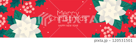 ポインセチアと木の実のクリスマス背景デザイン ポインセチアと木の実のクリスマス背景デザイン 120531501